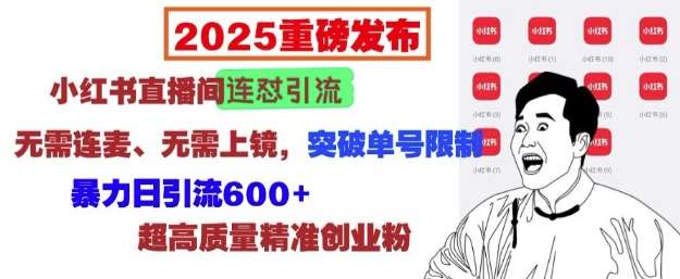 2025重磅发布：小红书直播间连怼引流，无需连麦、无需上镜，突破单号限制，暴力日引流600+-齐力副业