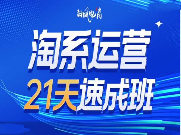 淘系运营21天速成班35期，年前最后一波和2025方向-齐力副业