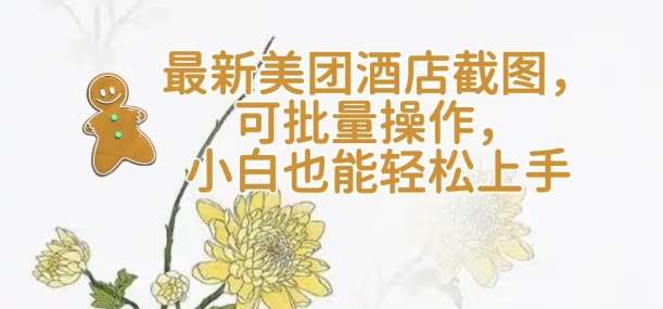 【轻云】最新美团酒店截图，可批量操作，小白也能轻松上手-齐力副业