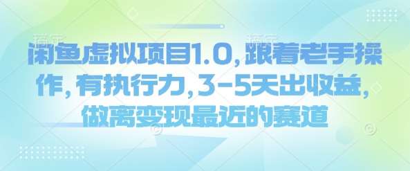 闲鱼虚拟项目1.0，跟着老手操作，有执行力，3-5天出收益，做离变现最近的赛道-齐力副业