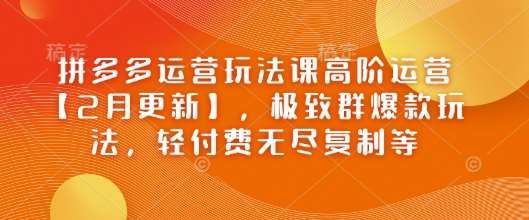 拼多多运营玩法课高阶运营【2月更新】，极致群爆款玩法，轻付费无尽复制等-齐力副业