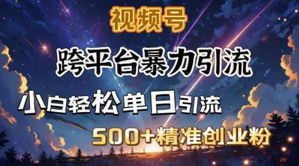 跨平台暴力引流，私域完美闭环，日引500+精准创业粉-齐力副业
