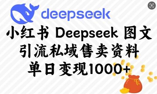 小红书Deepseek图文引流私域售卖资料，单日变现多张-齐力副业