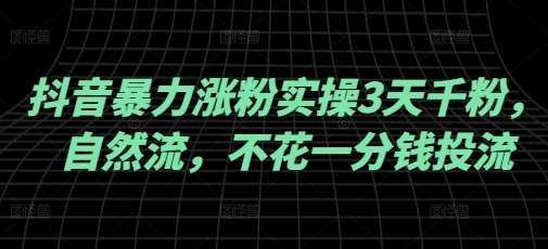 抖音暴力涨粉实操3天千粉，自然流，不花一分钱投流，实操经验分享-齐力副业