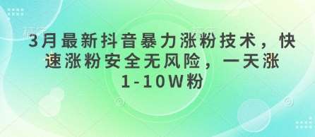 3月最新抖音暴力涨粉技术，快速涨粉安全无风险，一天涨1-10W粉-齐力副业