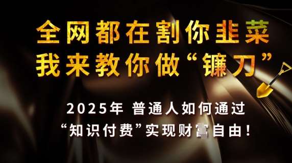 全网都在割你韭菜，我来教你做镰刀，2025普通人如何通过知识付费，实现财F自由【揭秘】-齐力副业