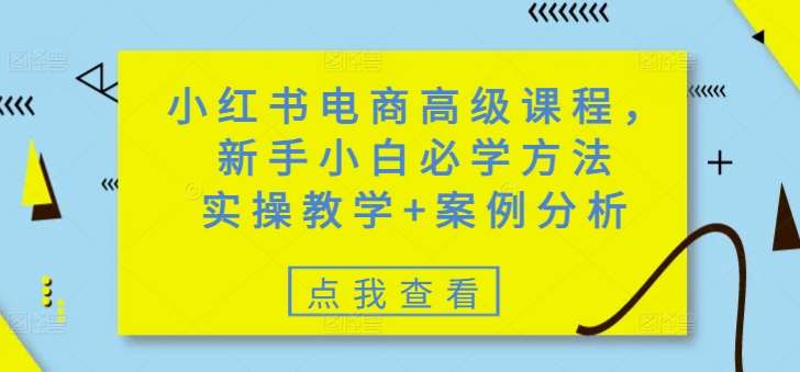 小红书电商高级课程，新手小白必学方法，实操教学+案例分析-齐力副业