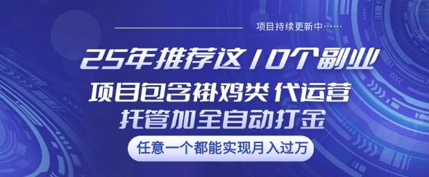 25年推荐这10个副业项目包含褂鸡类、代运营托管类、全自动打金类【揭秘】-齐力副业