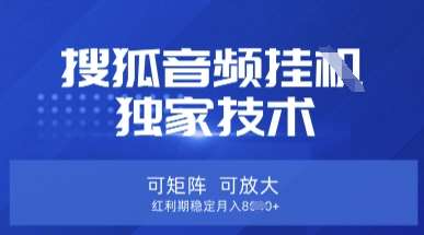 【搜狐音频挂G】独家技术，可矩阵可放大，红利期稳定月入8k【揭秘】-齐力副业