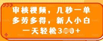 审核视频，几秒一单，多劳多得，新人小白一天轻松3张【揭秘】-齐力副业
