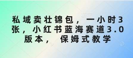 私域卖壮锦包，一小时3张，小红书蓝海赛道3.0版本， 保姆式教学-齐力副业