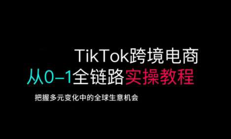 TikTok跨境电商从0-1全链路全方位实操教程，把握多元变化中的全球生意机会-齐力副业