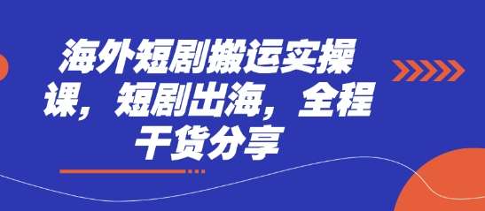 海外短剧搬运实操课,短剧出海,全程干货分享-齐力副业
