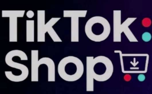 TikTokShop跨境电商0-1实战，手把手教你低成本启动海外市场-齐力副业