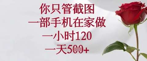 你只管截图，一部手机在家做，苹果安卓都可以，一小时120，一天5张+【揭秘】-齐力副业