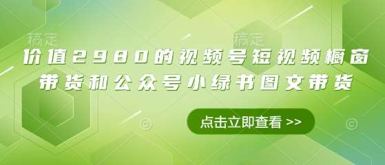 价值2980的视频号短视频橱窗带货和公众号小绿书图文带货-齐力副业