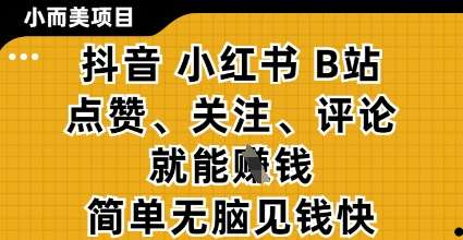 小而美的项目，抖音小红书B站视频点赞、关注、评论就能挣钱，简单无脑立见收益，妥妥的零撸项目【揭秘】-齐力副业