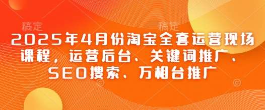 2025年4月份淘宝全套运营现场课程，运营后台、关键词推广、SEO搜索、万相台推广-齐力副业