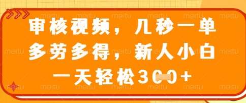 最新审核视频，几秒一单，多劳多得，新人小白一天轻松3张【揭秘】-齐力副业