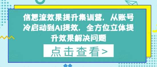 信息流效果提升集训营，从账号冷启动到AI提效，全方位立体提升效果解决问题-齐力副业