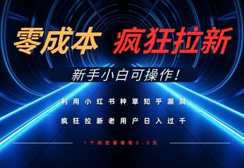 利用小红书种草知乎漏洞，零成本疯狂拉新日入数张，新手小白可操作-齐力副业