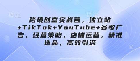 跨境创富实战营，独立站+TikTok+YouTube+谷歌广告，经营策略，店铺运营，精准选品，高效引流-齐力副业