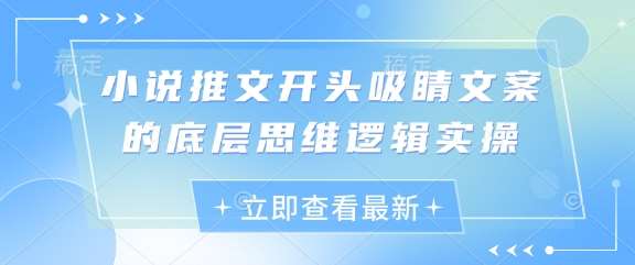 小说推文开头吸睛文案的底层思维逻辑实操-齐力副业