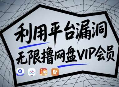 利用平台漏洞，无限撸网盘VIP会员，用户亲测有效!【漏洞原理+操作演示】-齐力副业