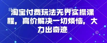 淘宝付费玩法无界实操课程，高价解决一切烦恼，大力出奇迹-齐力副业