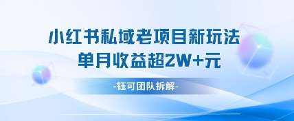 小红书私域项目新玩法，单月变现过W+-齐力副业