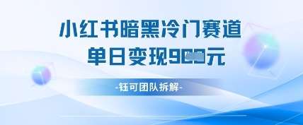 小红书冷门”暗黑”赛道，单日收益多张-齐力副业