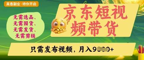 京东短视频带货，开启零门槛躺Z新时代【揭秘】-齐力副业