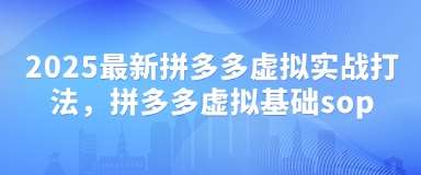 2025最新拼多多虚拟实战打法，拼多多虚拟基础sop-齐力副业