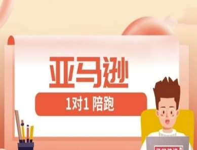 亚马逊1对1陪跑课(FBA/FBM精铺)跨境亚马逊教程-齐力副业