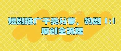 短剧推广干货分享，豹剧 1:1原创全流程-齐力副业