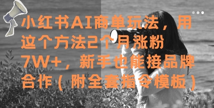 小红书AI商单玩法，用这个方法2个月涨粉7W+，新手也能接品牌合作(附全套指令模板)-齐力副业