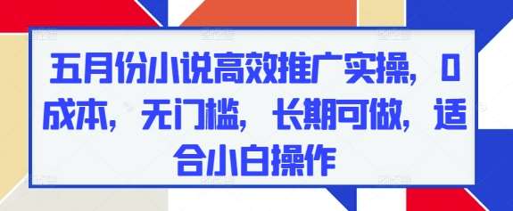 五月份小说高效推广实操，0成本，无门槛，长期可做，适合小白操作-齐力副业