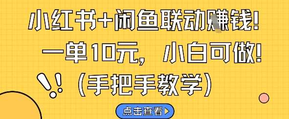 小红书+闲鱼联动挣钱，一单10元，小白可做-齐力副业