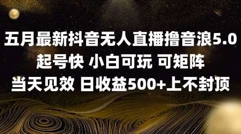 2025五月最新无人直播撸音浪单日产出5张+实操教程【揭秘】-齐力副业