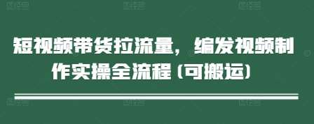 短视频带货拉流量，编发视频制作实操全流程(可搬运)-齐力副业