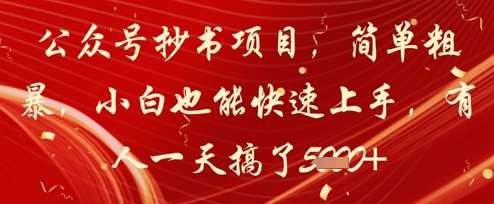 公众号抄书项目，简单粗暴，小白也能快速上手，有人一天搞了1k+-齐力副业