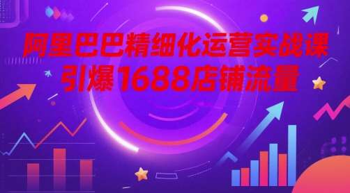 阿里巴巴精细化运营实战课，引爆1688店铺流量-齐力副业