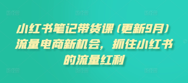 小红书笔记带货课(更新25年5月)流量电商新机会,抓住小红书的流量红利-齐力副业