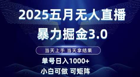 2025五月无人直播暴力掘金3.0，当天上手，当天拿结果，单号日入1k+小白可做可矩阵【揭秘】-齐力副业