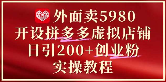 外面卖5980开设拼多多虚拟店铺：单日引流200+创业付费粉实战教程-齐力副业