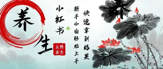疯狂火爆，用Deepseek小红书平台的女性古声古韵养生爆款，小白轻松制作，快速拿到结果-齐力副业