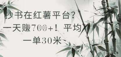 抄书在小红薯平台？平均一单30米，一天收益几张！-齐力副业