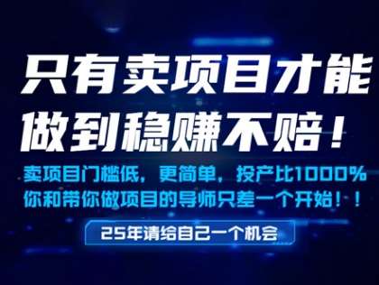 只有卖项目才能做到稳挣不赔，门槛低，更简单，你也可以年入百个W【揭秘】-齐力副业