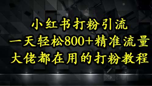 小红书打粉引流,一天轻松500+精准流量,大佬都在用的打粉教程-齐力副业