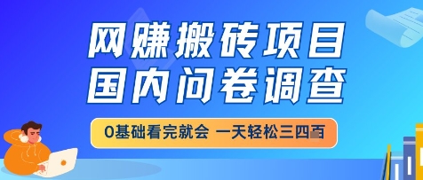 网创搬砖项目，国内问卷调查，小白轻松上手，一天三四张的也不难，干就完了【揭秘】-齐力副业